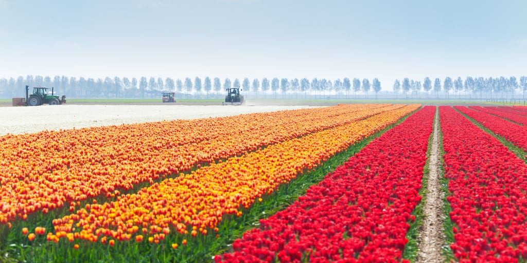 House Approves Farm Bill Conferees