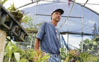 Ongoing Volcanic Activity Threatens Orchid Growers in Hawaii