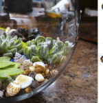 Georgianne Vinicombe is channeling her passion for all things metaphysical by hosting a Psychic and Wellness Day, complete with a “Build Your Own Zen Garden” station.