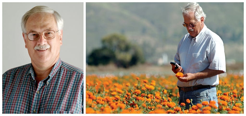 Teamwork: Consider Partnerships to Amplify Your Petal It Forward Event