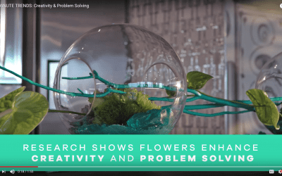 Steal these Emails to Send Business Clients, Interior Designers and Architects