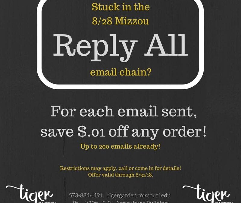 Mass Email Madness Inspires Clever Promotion