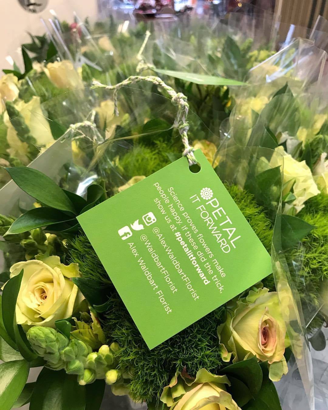 Spot_PIF_FloralToday_card Petal It Foward