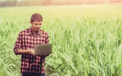 SAF Urges USDA to Improve Data Collection for Floriculture Crops Summary