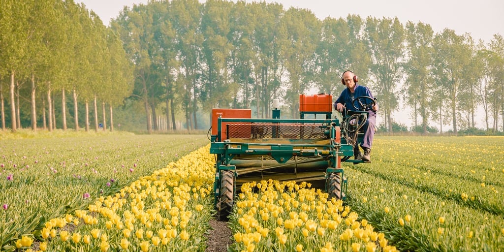 SAF Weighs In On The Proper Regulation of Pesticides