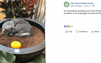 Fall Scavenger Hunt Attracts Families to Denver Flower Shop