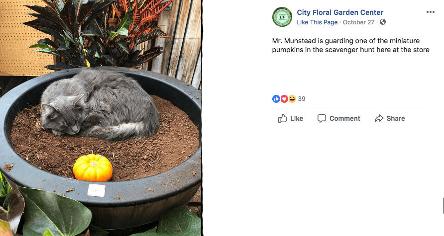 Fall Scavenger Hunt Attracts Families to Denver Flower Shop