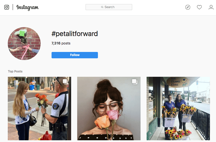 Through social media and industry news stories, SAF emphasized to Petal It Forward participants the importance of tagging the flowers handed out with the #petalitforward hashtag, as well as the need to post on social media before, during and after the event