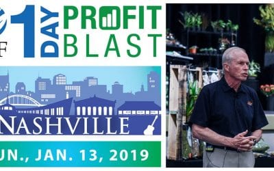 Expert Tips from a CPA to Get You Through the Holidays