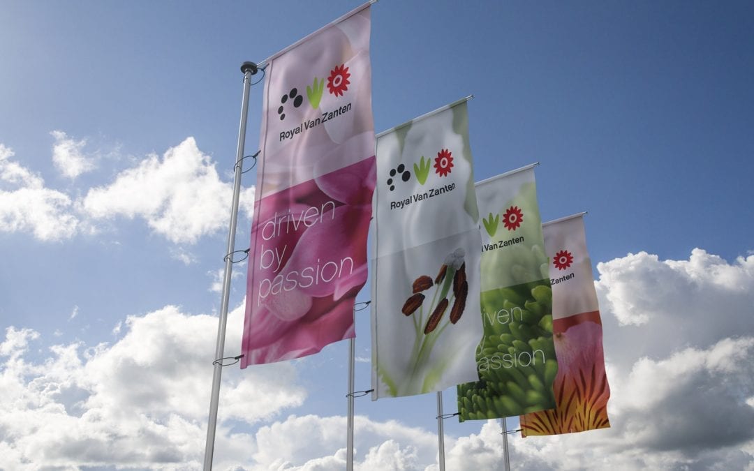 Three Holiday Social Media Posts  to Schedule Now