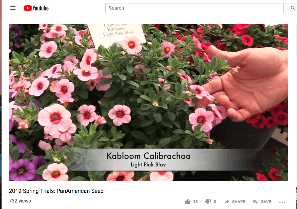 Breeders Show Off New Product at California Spring Trials