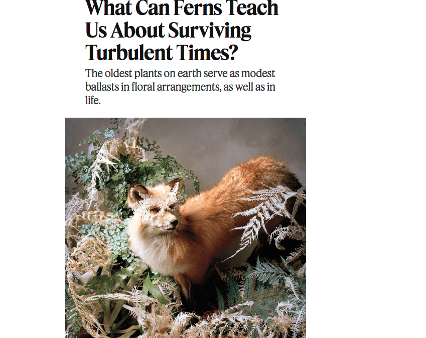 NY Times Highlights Ferns’ History, Enduring Appeal