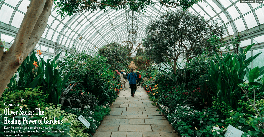 New York Times article New York Times article