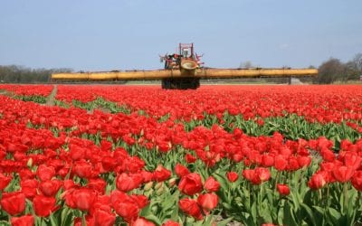 California Bans Chlorpyrifos