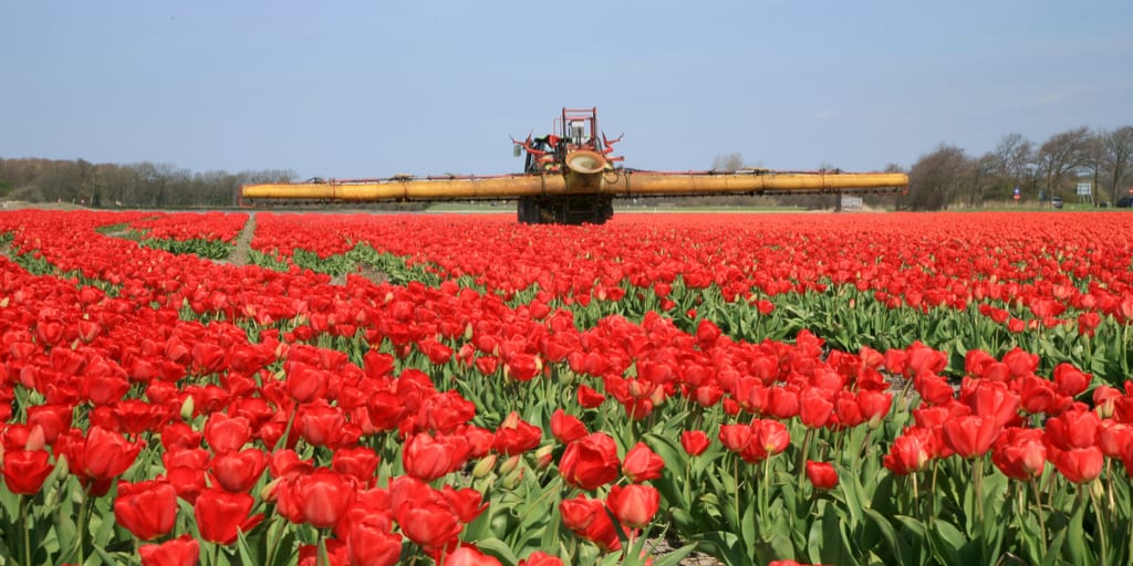 California Bans Chlorpyrifos