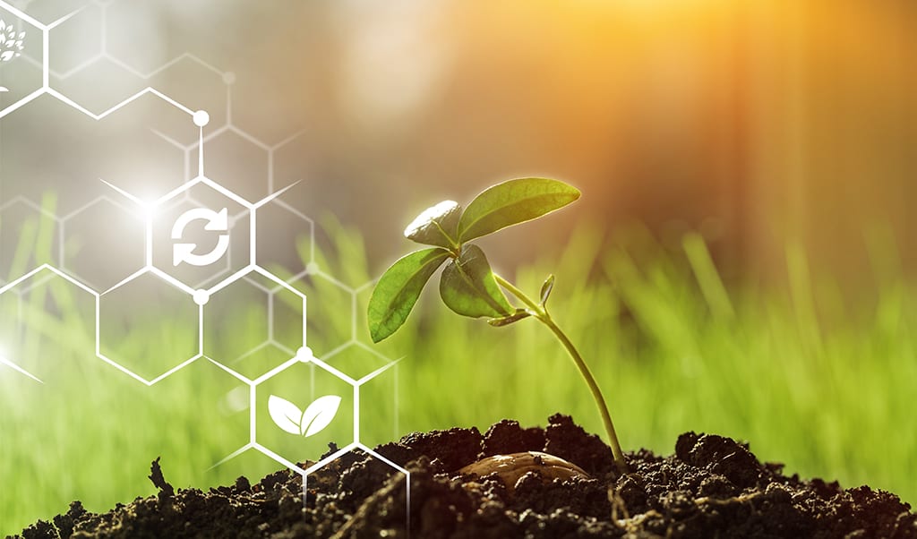 Executive Order Builds Momentum for Streamlined Biotech Regulations