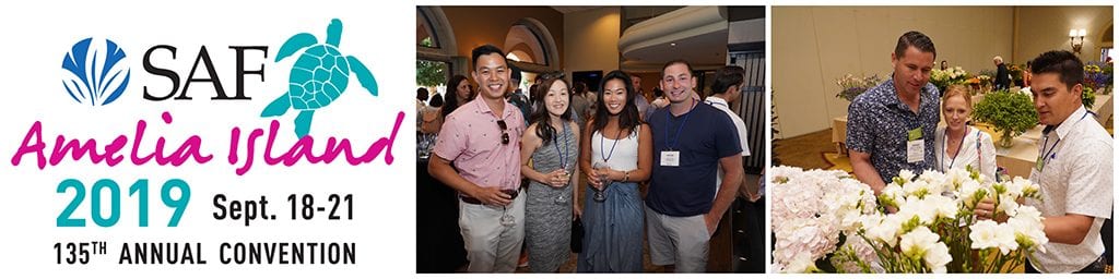 Amelia Island 2019 Excitement Grows for SAF Amelia Island 2019