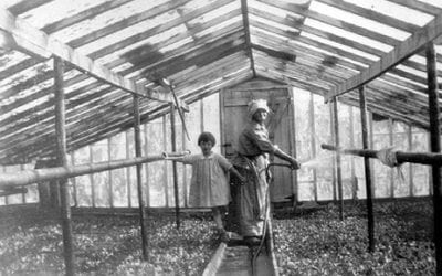 Three Floral Businesses to Receive the Century Award in Amelia Island