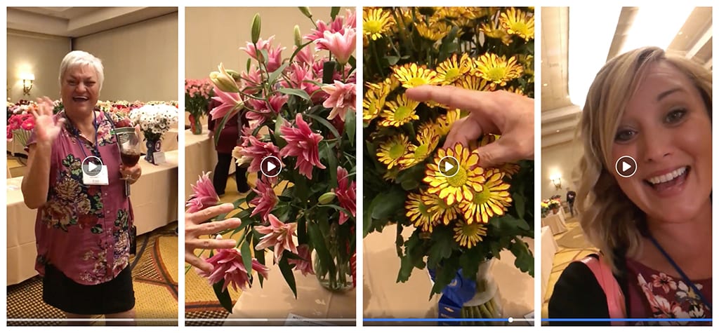 Florists Look to Outstanding Varieties to Fast-Track Training