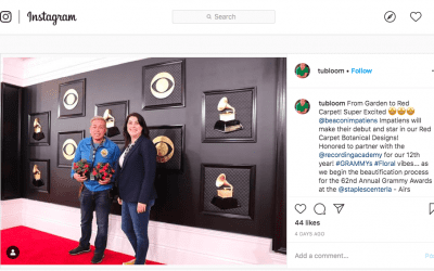 New Impatiens Star in Grammy Décor