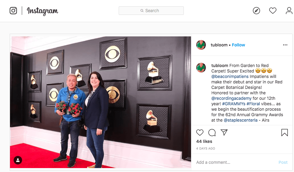 New Impatiens Star in Grammy Décor