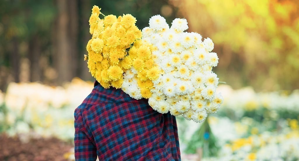 SAF Pressures Senate to Move on Ag Workforce Reform