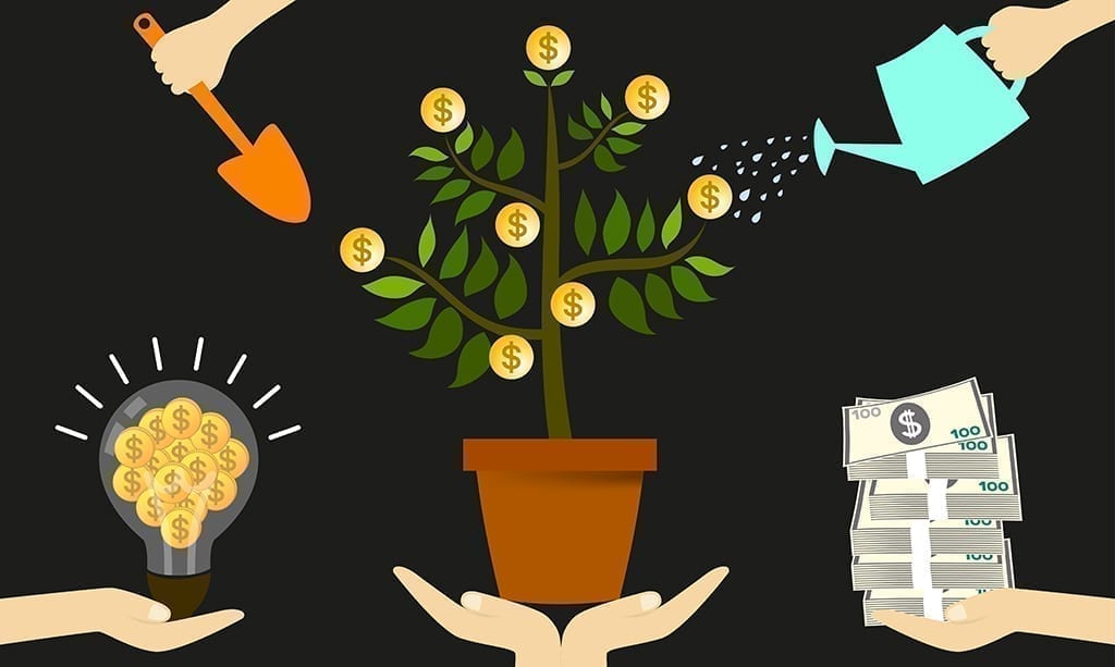 Senator Hails ‘Job-Creating’ Revenue Generated by Floral Industry