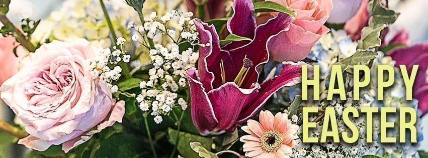 SAF-HappyEaster-Pink-851x315 Happy Easter