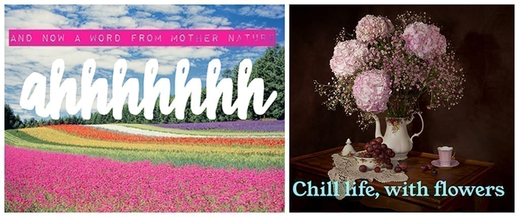 New Social Media Posts to Help Spread #Calm