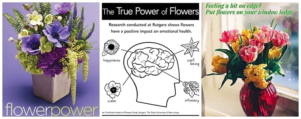 Spread the Power of Flowers