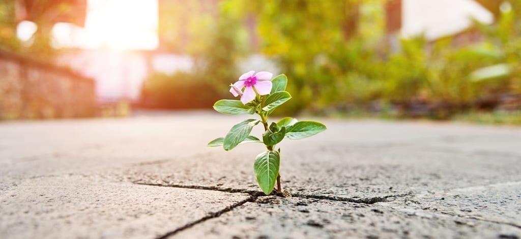 How to Build Sales in the Pandemic and Post-Pandemic Marketplace