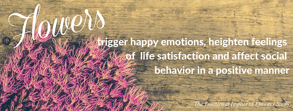 Take Advantage of SAF’s Social Media Graphics