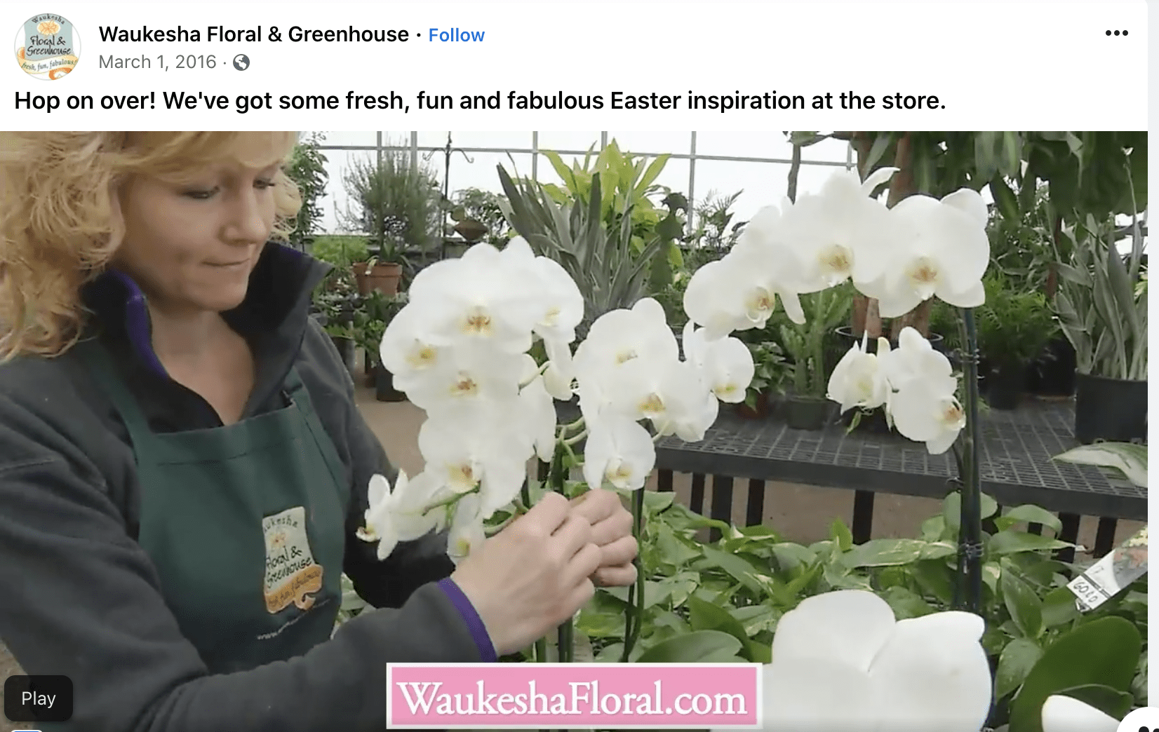 Wisconsin Florists Double Down on Community in Pandemic