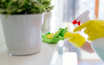 I Clean, You Clean: ‘Hygiene Theater’ Muddies Things