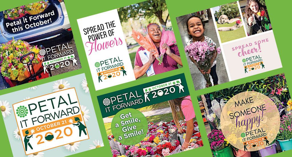 2 Ways to Make ‘Petal It Forward’ Vibes Last Longer