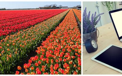 Growers Share Secrets for Successful USDA Aid Applications