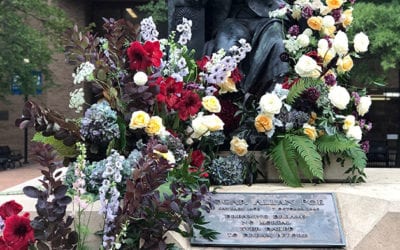 Baltimore Florist Creates ‘Flashes of Joy’