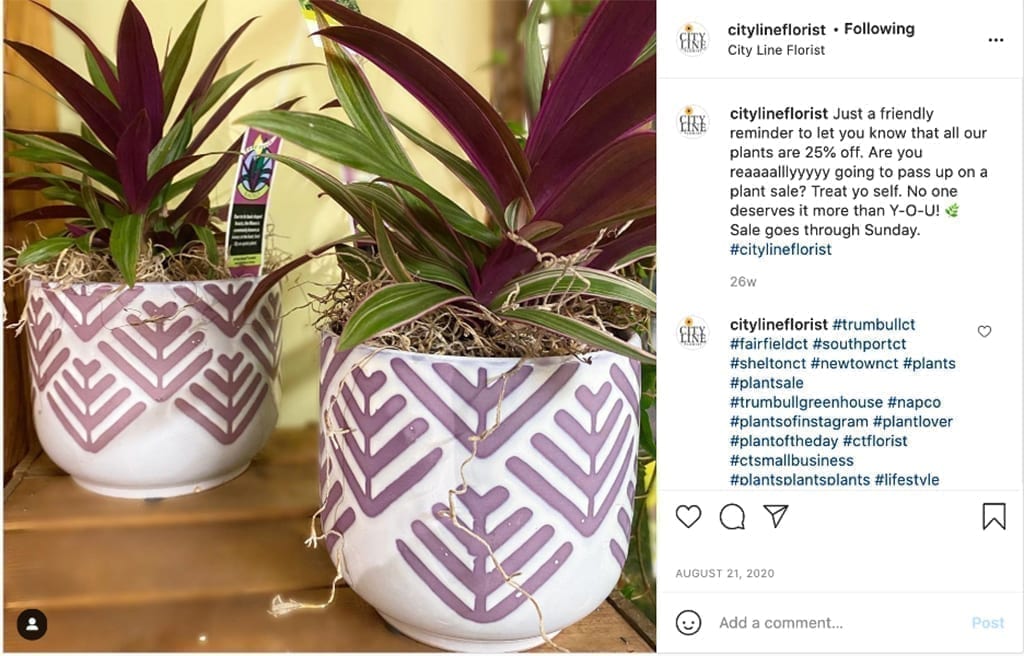 New England Florist Uses Containers to Add Value to Plants