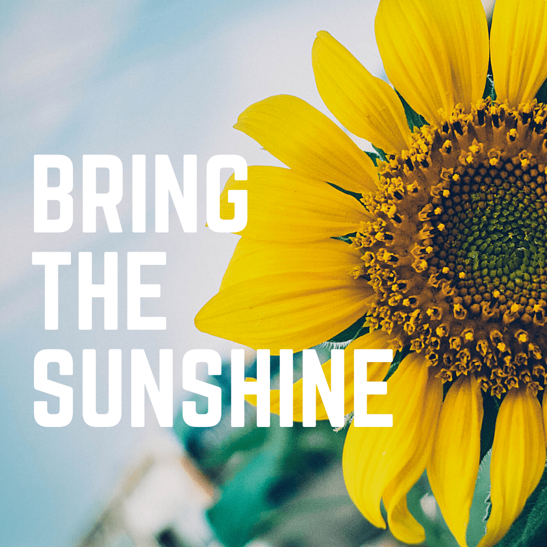Bring the Sunshine Valentine's Day - banner ad 177x175 pixels