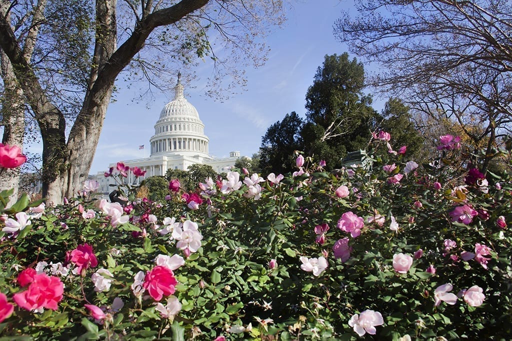 Congressional Cut Flower Caucus Co-Chair Rep. Dan Newhouse to Speak at CAD