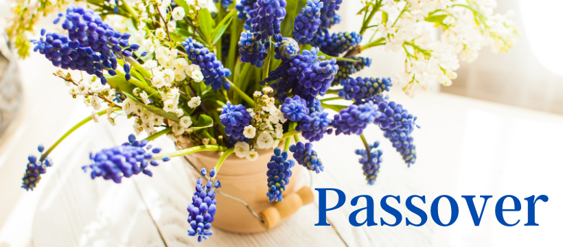 Passover Hyacinths 820