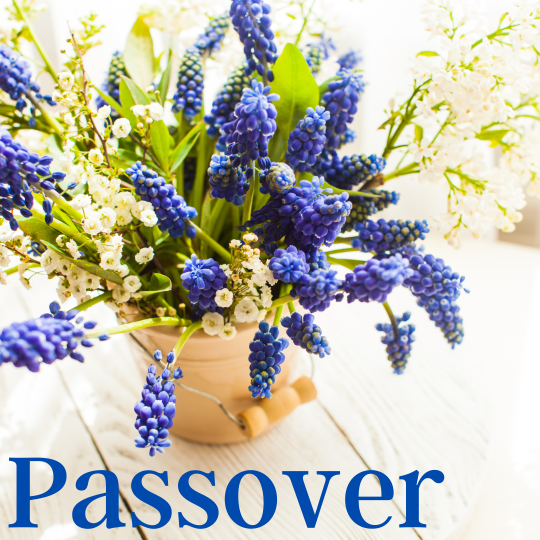 Passover Hyacinths Valentine's Day - banner ad 177x175 pixels