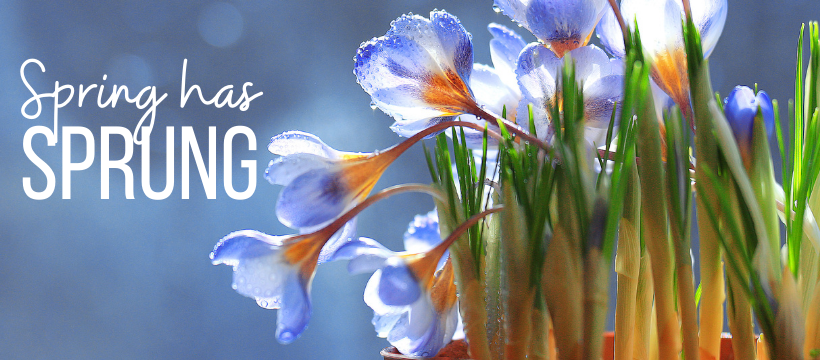 Spring Has Sprung 820 (1)