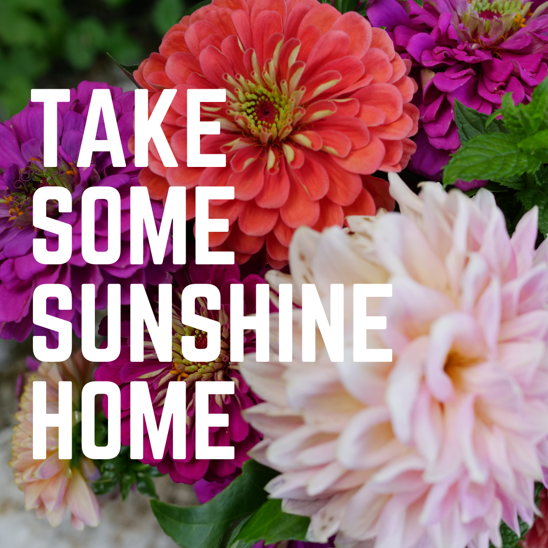 Take Some Sunshine Home Valentine's Day - banner ad 177x175 pixels