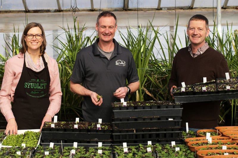 COVID Through My Eyes: Early Investment in E-commerce Got Us Through