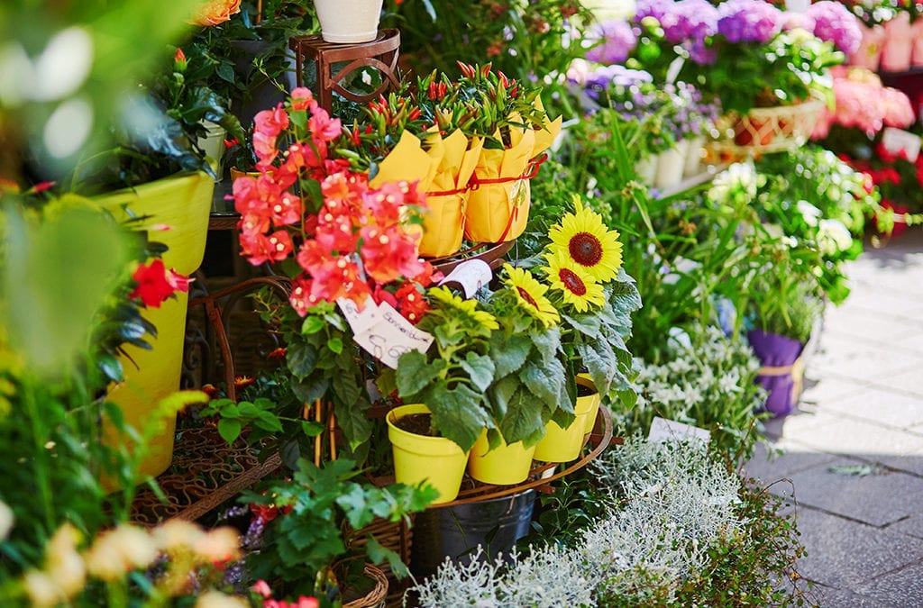 Boost Your Local Profile