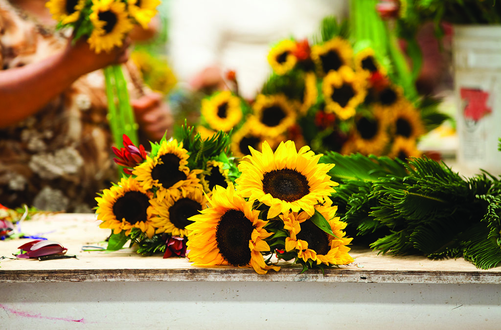 Fresh Choices For Day of the Dead Designs