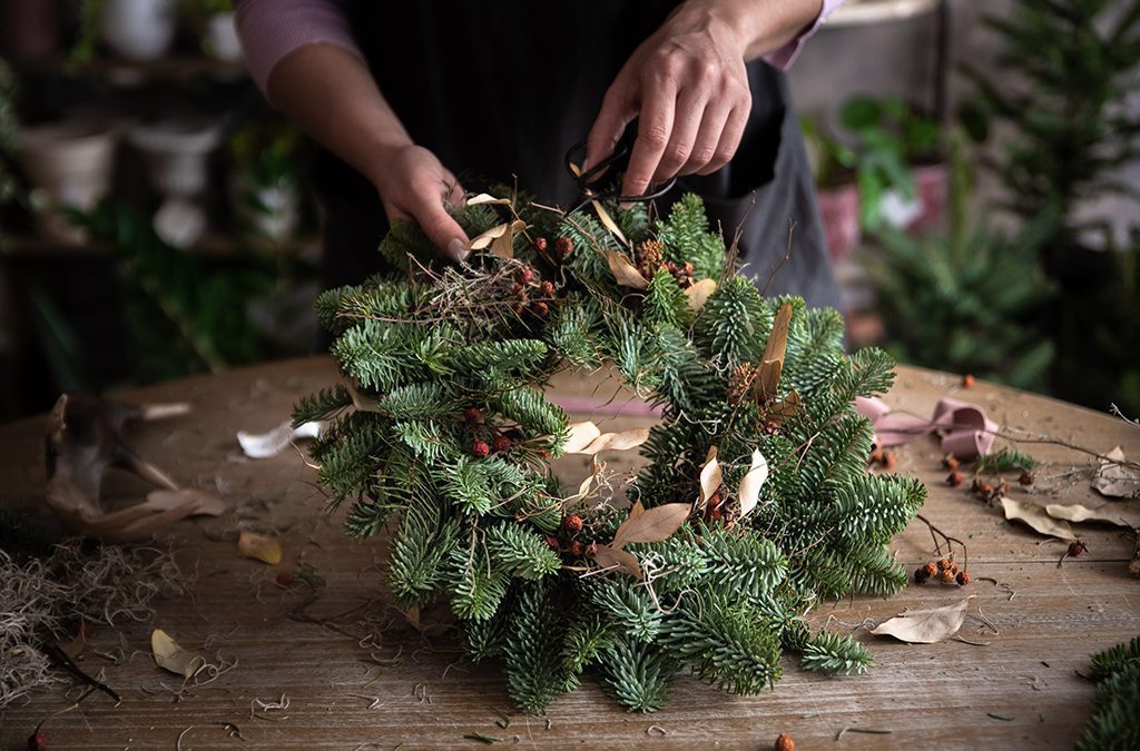 Evergreens Shortage Anticipated in Pacific Northwest