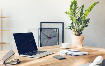 Promote Plants as Employee Appreciation Gifts