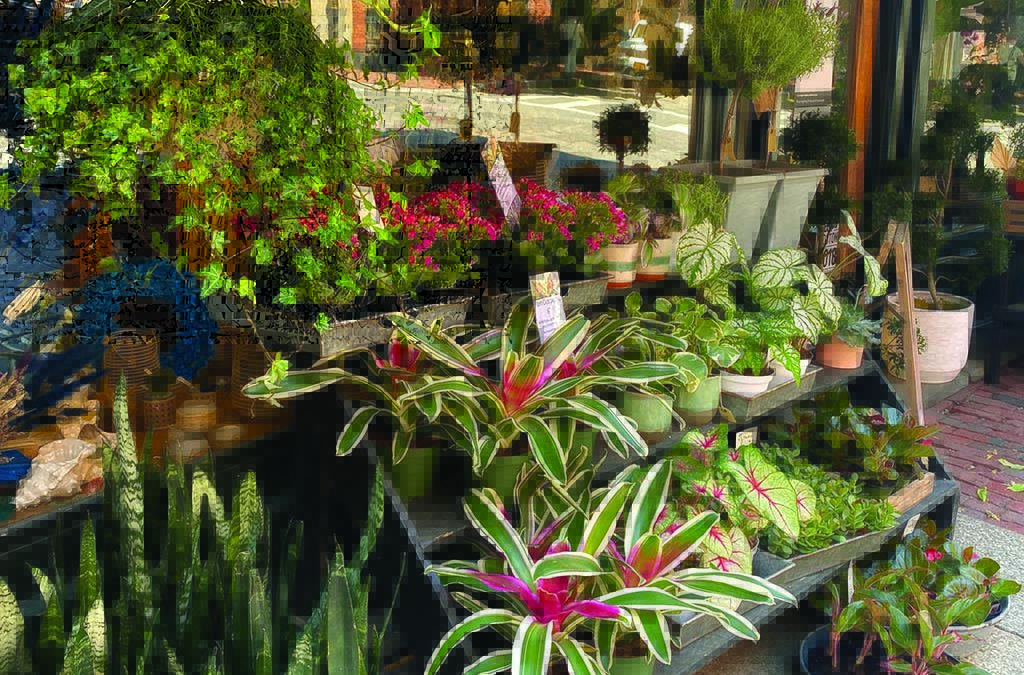 Optimize Your Exterior With Merchandise Displays